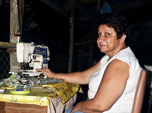 Finca Siempre Verde Mastatal, Rural Tourism, Horseback Riding, Natural building, Tours to La Cangreja, Organic Farm, Volunteers and Spanish School in Puriscal, Costa Rica