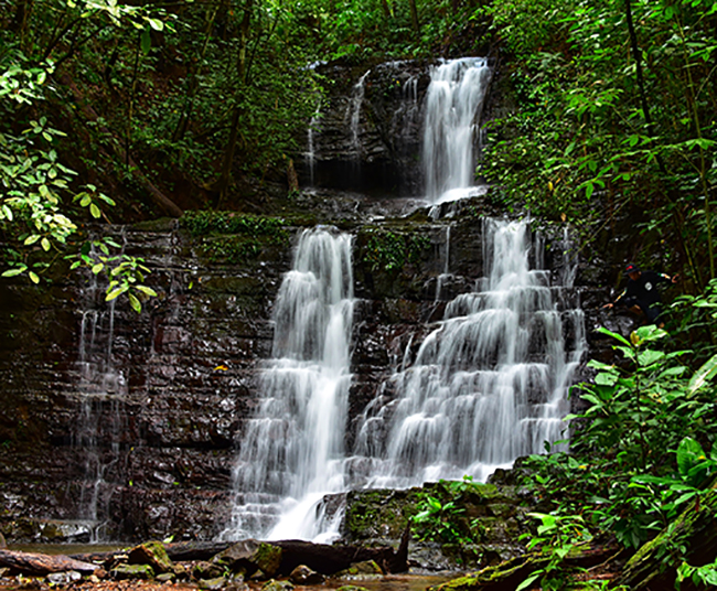 Finca Siempre Verde Mastatal, Rural Tourism, Horseback Riding, Natural building, Tours to La Cangreja, Organic Farm, Volunteers and Spanish School in Puriscal, Costa Rica
