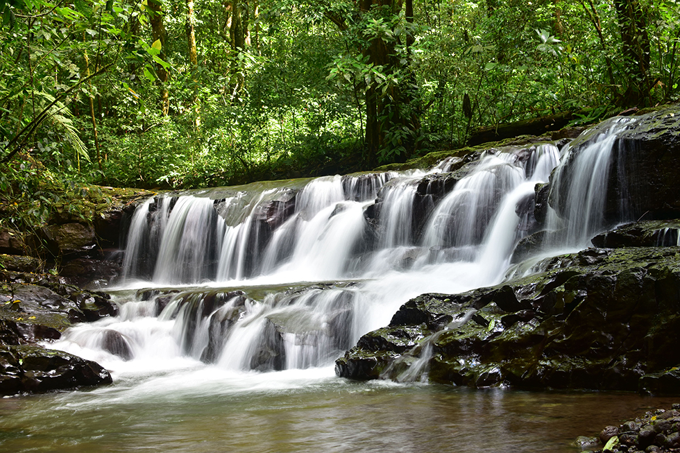 Finca Siempre Verde Mastatal, Rural Tourism, Horseback Riding, Natural building, Tours to La Cangreja, Organic Farm, Volunteers and Spanish School in Puriscal, Costa Rica