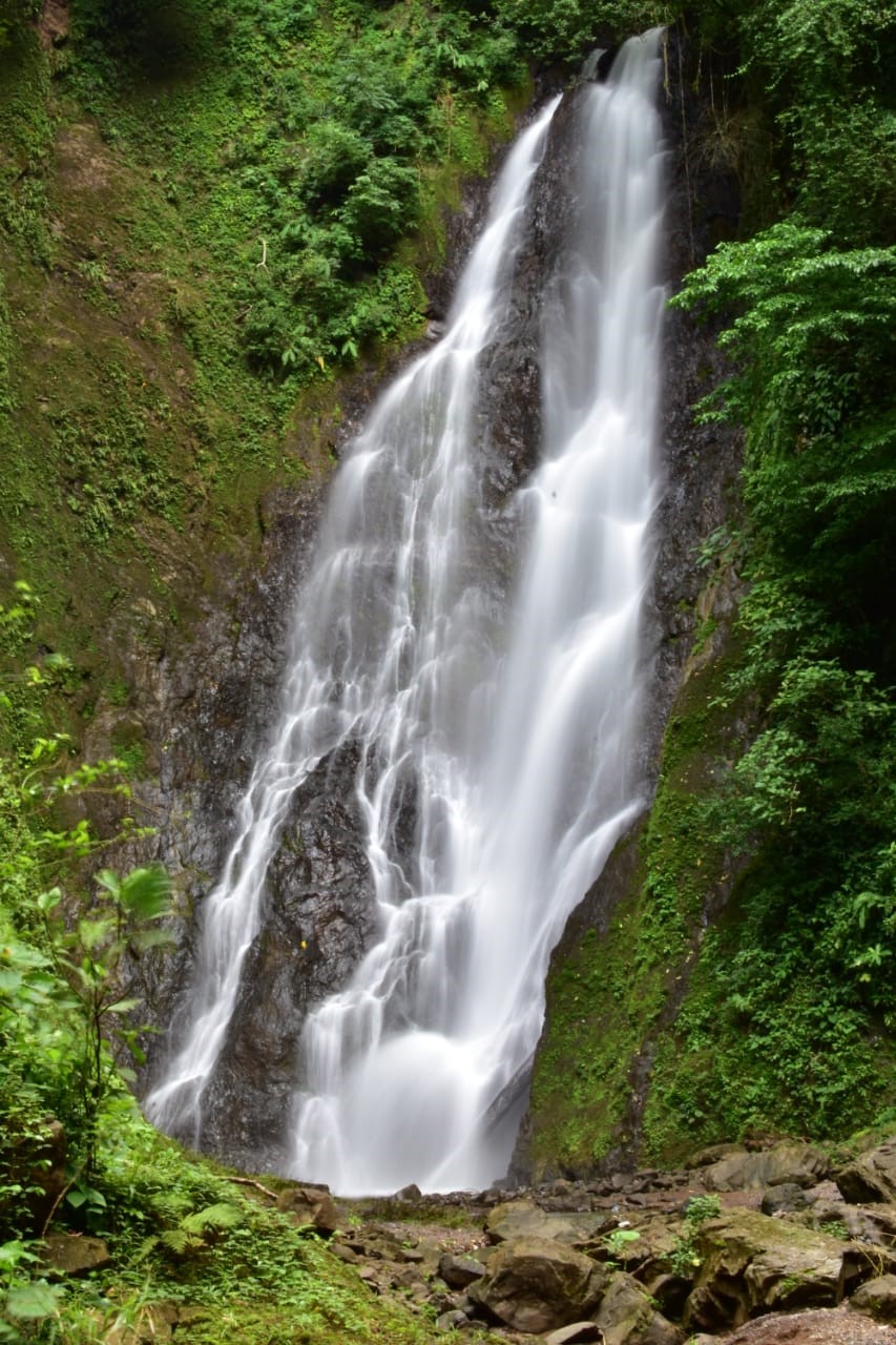 Finca Siempre Verde Mastatal, Rural Tourism, Horseback Riding, Natural building, Tours to La Cangreja, Organic Farm, Volunteers and Spanish School in Puriscal, Costa Rica