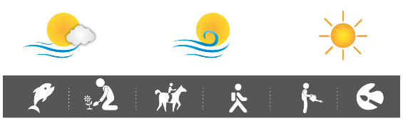 Finca Siempre Verde Mastatal, Rural Tourism, Horseback Riding, Natural building, Tours to La Cangreja, Organic Farm, Volunteers and Spanish School in Puriscal, Costa Rica