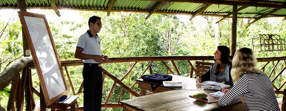 Finca Siempre Verde Mastatal, Rural Tourism, Horseback Riding, Natural building, Tours to La Cangreja, Organic Farm, Volunteers and Spanish School in Puriscal, Costa Rica