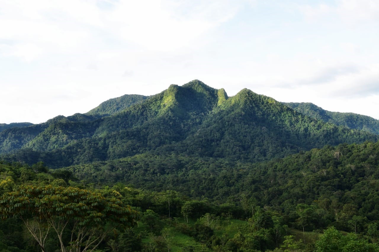 Finca Siempre Verde Mastatal, Rural Tourism, Horseback Riding, Natural building, Tours to La Cangreja, Organic Farm, Volunteers and Spanish School in Puriscal, Costa Rica