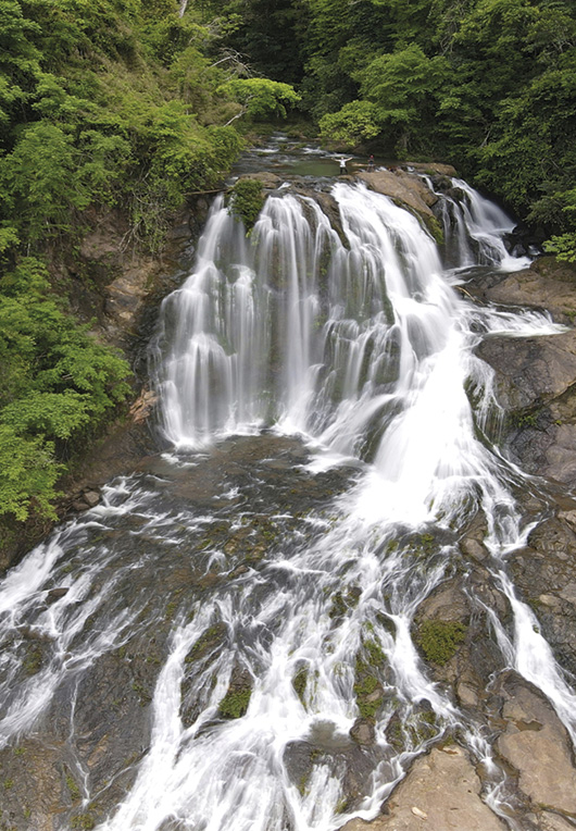 Finca Siempre Verde Mastatal, Rural Tourism, Horseback Riding, Natural building, Tours to La Cangreja, Organic Farm, Volunteers and Spanish School in Puriscal, Costa Rica
