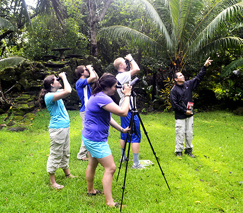 Finca Siempre Verde Mastatal, Rural Tourism, Horseback Riding, Natural building, Tours to La Cangreja, Organic Farm, Volunteers, Grups, Spanish School in Puriscal, Costa Rica