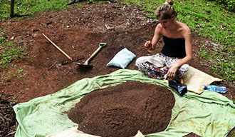 Finca Siempre Verde Mastatal, Rural Tourism, Horseback Riding, Natural building, Tours to La Cangreja, Organic Farm, Volunteers and Spanish School in Puriscal, Costa Rica