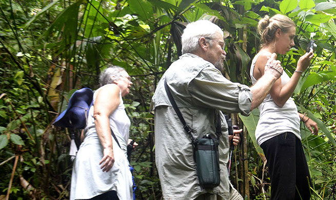 Finca Siempre Verde Mastatal, Rural Tourism, Horseback Riding, Natural building, Tours to La Cangreja, Organic Farm, Volunteers and Spanish School in Puriscal, Costa Rica